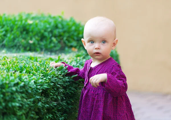 Retrato de niña en el jardín —  Fotos de Stock