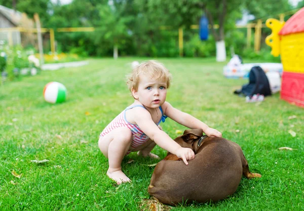 Piękna mała dziewczynka gra z psem na trawie — Zdjęcie stockowe