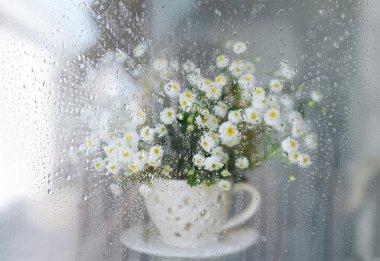 Chamomiles su ile pencerenin arkasında buket damla.