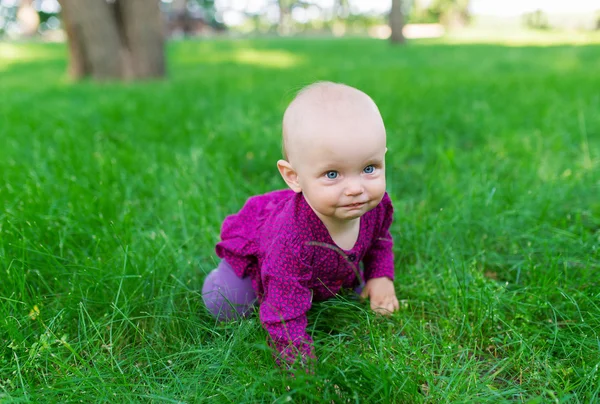 Linda niña en el prado en el día de verano —  Fotos de Stock