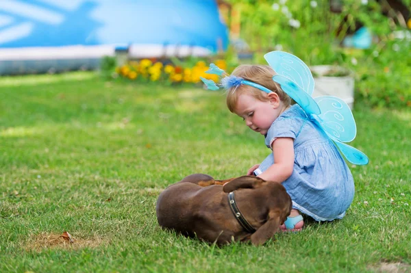 La belle fée joue avec un chien sur l'herbe — Photo