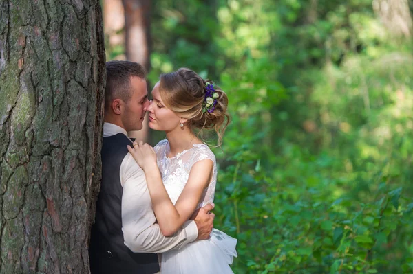 高い木および結婚されていたカップルのキス — ストック写真