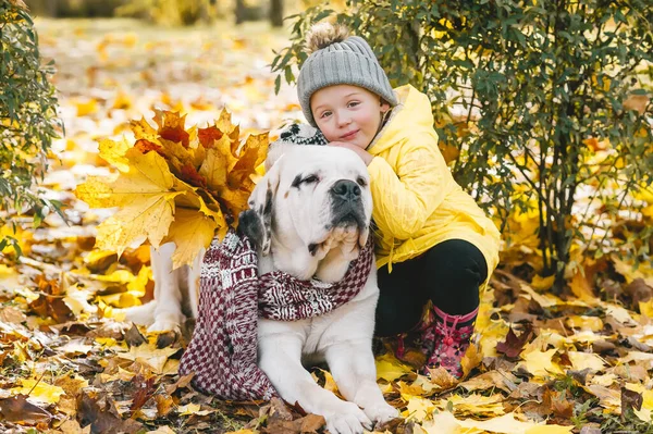 Pequena Menina Criança Bonito Com Seu Grande Cão Bernard Santo — Fotografia de Stock