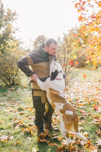 Efendi Itaatkar Köpeği Sonbahar Parkında Birlikte Oynuyorlar Iyi Arkadaşlar — Stok fotoğraf