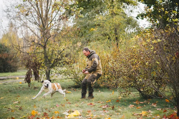 Maestro Obediente Perro Jugando Juntos Parque Otoño Mejores Amigos —  Fotos de Stock