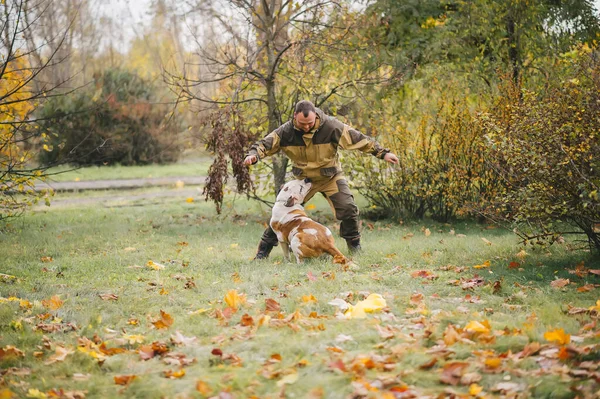 Man Playing Dog Autumn Forest — Stock Photo, Image