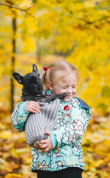 Holčička Drží Francouzského Buldoka Náručí Podzimním Parku Šťastná Objímá — Stock fotografie