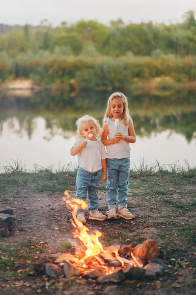 Dwie Małe Dziewczynki Jedzą Pianki Dzieci Pieką Słodycze Stosie Piknik — Zdjęcie stockowe