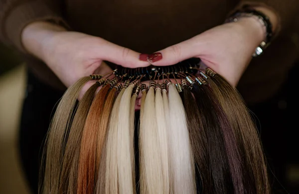 Uma Paleta Tons Cor Cabelo Nas Mãos Das Mulheres Mãos Fotografia De Stock