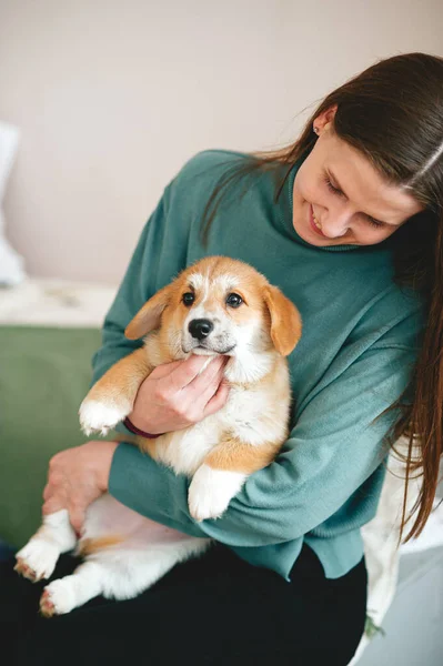 Hermosa Joven Con Mascota Lindo Cachorro Galés Corgi Pembroke — Foto de Stock