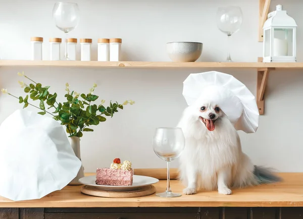 Leuke Honden Met Koksmutsen Verjaardagstaart Keukentafel Huisdieren Vakantie Concept Stockafbeelding