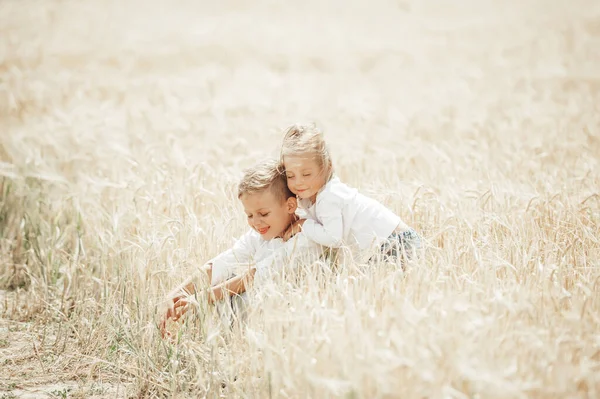 Cute Little Caucasian Kids Playing Grassland Sunny Day — Stock Photo, Image
