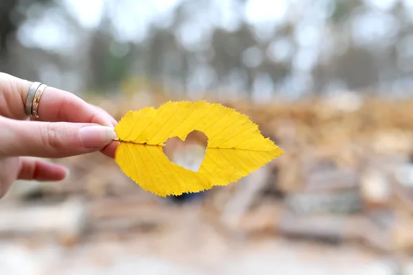 Das Herz, das in einem Herbstblatt ausgeschnitten ist — Stockfoto