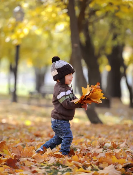 The charming kid plays among autumn gold foliage — Stock Photo, Image