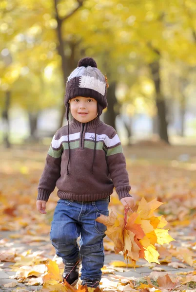 The charming kid plays among autumn gold foliage — Stock Photo, Image