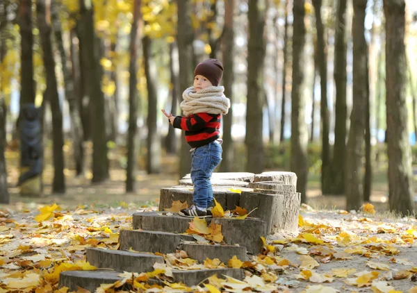 Il bambino affascinante gioca tra fogliame d'oro di autunno — Foto Stock