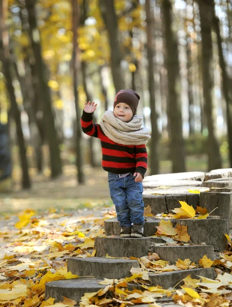 Il bambino affascinante gioca tra fogliame d'oro di autunno — Foto Stock