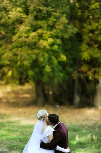 Lo sposo bacia la sposa su un collo su una radura — Foto Stock