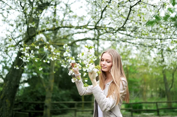 The girl enjoys a smell of the blossoming cherry — Stock Photo, Image