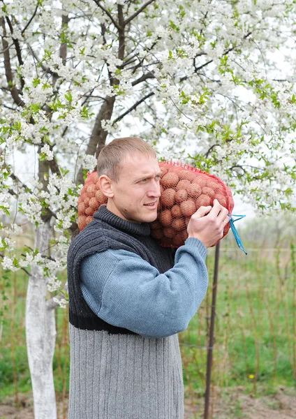 man bears potatoes bag