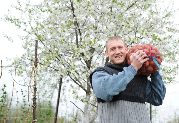 Mens beren aardappelen tas — Stockfoto