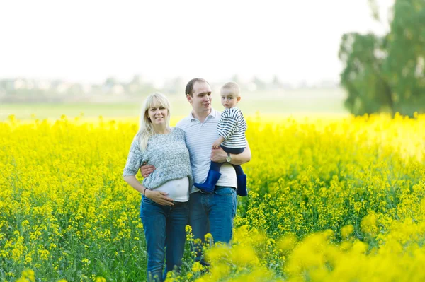 Mother, the father and the kid are on a rape field — Stock Photo, Image