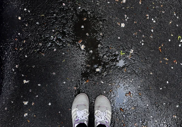 Zapatillas de deporte sobre asfalto húmedo — Foto de Stock