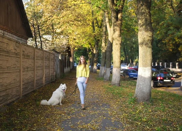 Κορίτσι με ένα σκύλο βόλτα στο πάρκο — Φωτογραφία Αρχείου