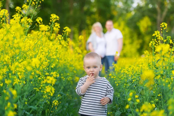 Happy family - mother, father and the little son — Stock Photo, Image