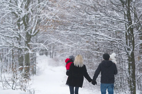 Mère, père, fils, fille marchent dans une forêt d'hiver . — Photo