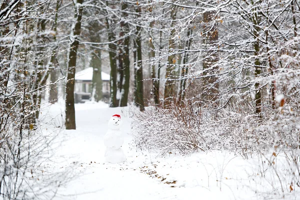 Sněhulák v zimním lese — Stock fotografie