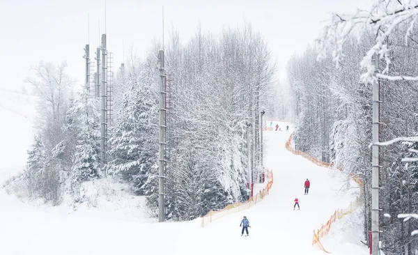 Os esquiadores correm esquis em uma floresta de inverno — Fotografia de Stock