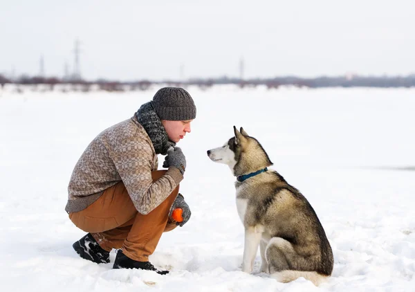 Tränare och Siberian huskies — Stockfoto