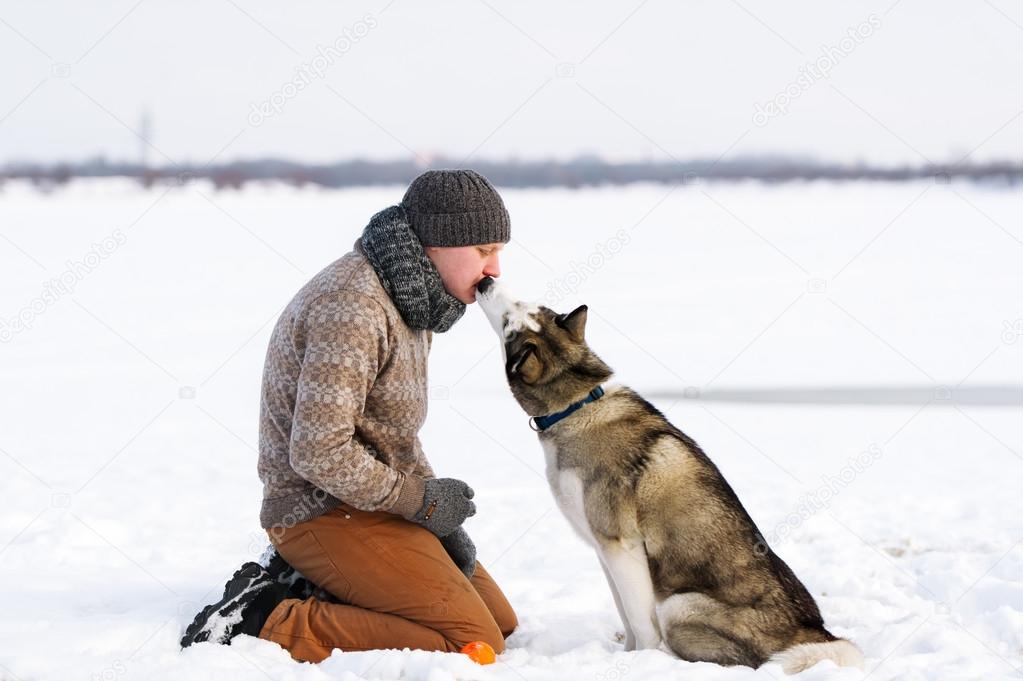 Trainer and Siberian huskies