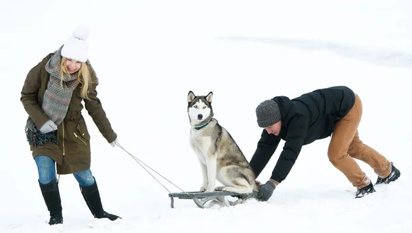 Het meisje en de jongen blijven een hond sledge. — Stockfoto