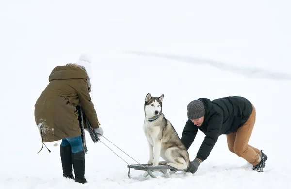Tjejen och killen bära en hund på släde. — Stockfoto