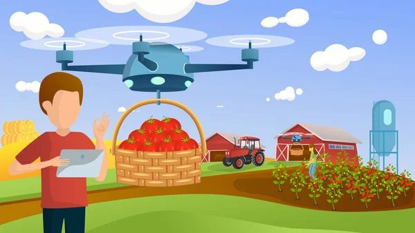 El hombre con una tableta controla un dron en una granja inteligente a través de una aplicación. El quadcopter lleva una cesta de tomates. Chica recoge tomate maduro y cosecha. Tecnologías futuras. Automatización agrícola — Vector de stock