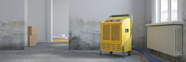 Suyun hasar gördüğü ve kurutma makinesinin yenilendiği boş bir İskandinav odası.