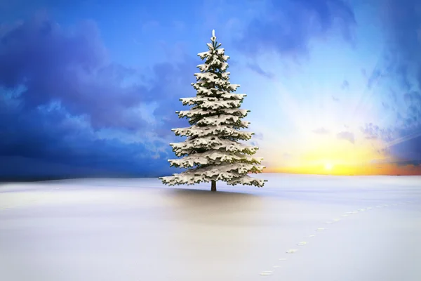 冬の風景 - ショット 1 — ストック写真
