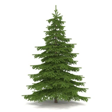 3D - Noel - köknar ağacı