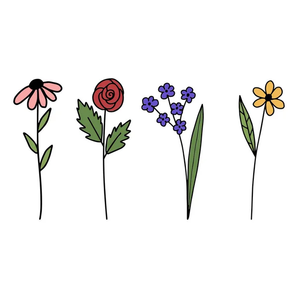 Floraison de plantes de dessin animé dessinées à la main. Ensemble d'éléments de conception. — Image vectorielle