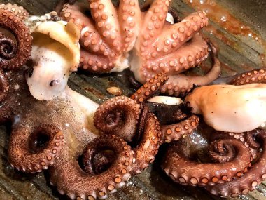 İtalya 'nın Puglia bölgesinde taze ve lezzetli ızgara ahtapot