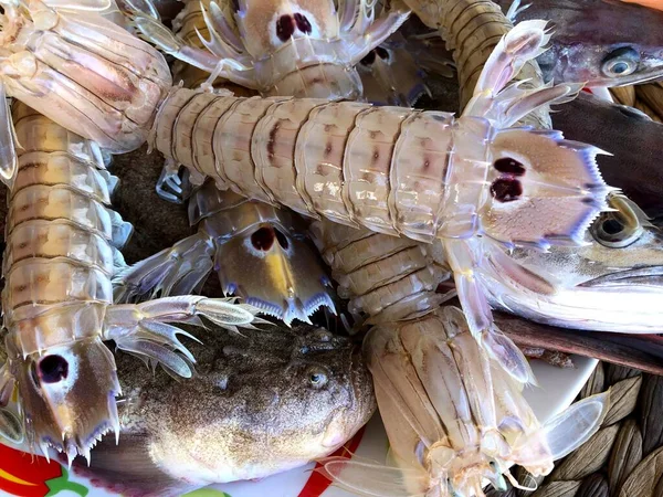 Fresh Raw Mantis Shrimps Fish Market Mola Bari Puglia — Stock Photo, Image