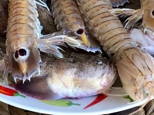 Fresh Raw Mantis Shrimps Fish Market Mola Bari Puglia — Fotografia de Stock
