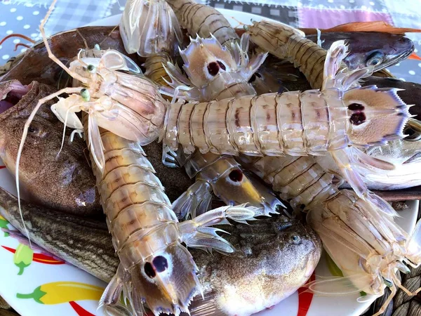Свежие Сырые Креветки Богомолы Рыбного Рынка Мола Бари Пулья — стоковое фото