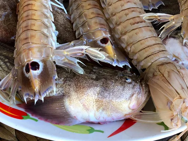 Fresh Raw Mantis Shrimps Fish Market Mola Bari Puglia — ストック写真