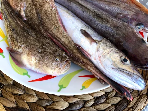 Pescado Crudo Recién Capturado Mercado Mola Bari Puglia — Foto de Stock