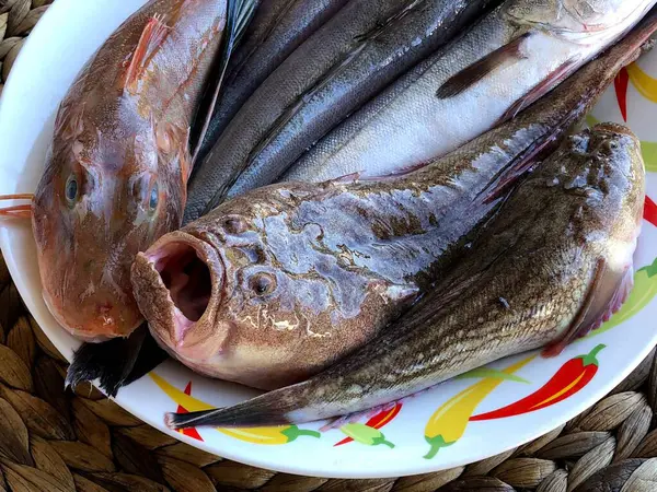 Freshly Caught Raw Fish Market Mola Bari Puglia — Stok Foto