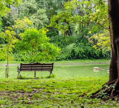 Tay'nın başkenti şehir bahçede yalnız tezgah ve lake görünümü 