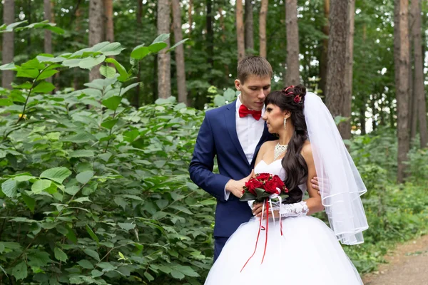 Un novio abraza tiernamente a la novia —  Fotos de Stock